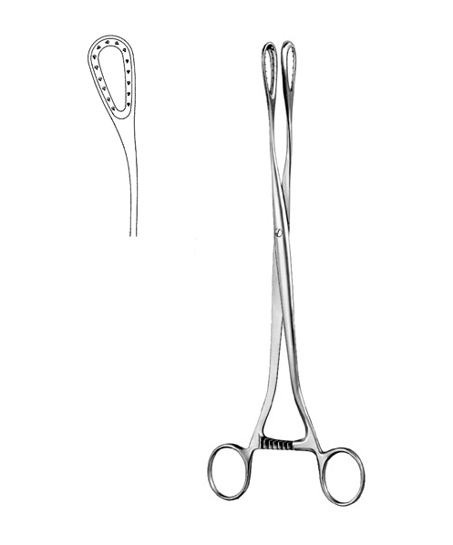Placenta and Ovum Forceps #7